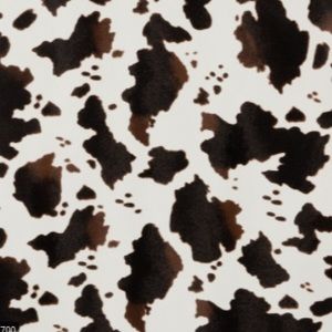 Meet your Posher, Lucy